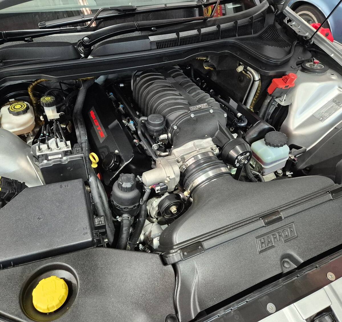 Harrop 2300 blower on a built 402ci LS stroker in a silver HSV VE GTS, making 700+ rwhp on 98
