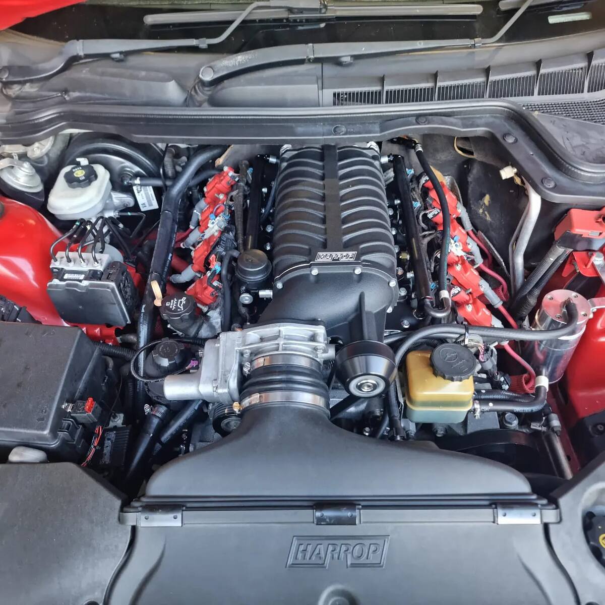 Harrop 2300 supercharger installed on the LS engine of a red Holden VE SS