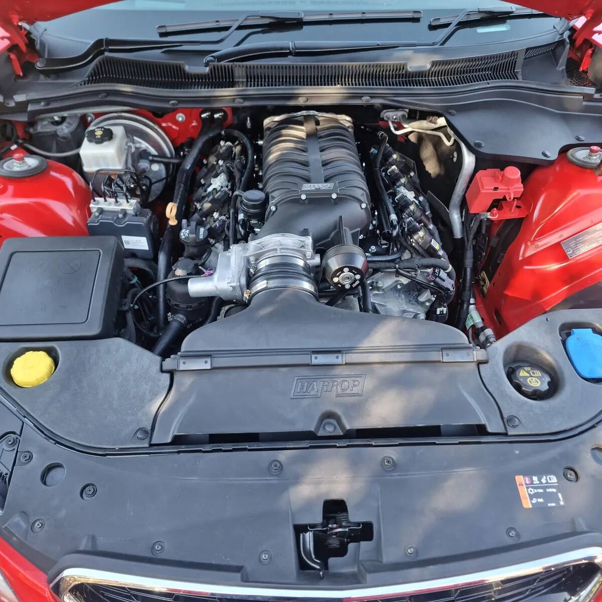 Harrop 2650 blower on the LS3 of a red Holden VF SS with a Sam's Performance cam package, making 700+ rwhp